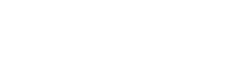 logo-birken.png